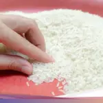 Mentan: “Stok Beras Aceh Aman,” Pemerintah Tambah 10.000 Ton dan Janji Perbaiki Sawah