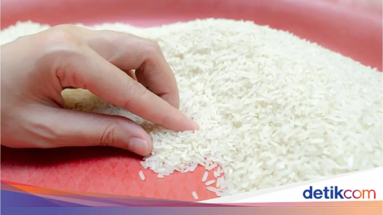 Mentan: “Stok Beras Aceh Aman,” Pemerintah Tambah 10.000 Ton dan Janji Perbaiki Sawah