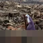 Menteri Sosial: Bantuan Rp8 Juta Disiapkan untuk Korban Banjir Sumatra