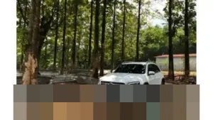 Mercedes-Benz NGCC: Gerbang Awal Konsumen Muda Menjajaki Pengalaman Kemewahan Otomotif Premium