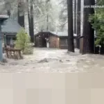 MPR RI Peringatkan Indonesia Telah Memasuki Krisis Iklim Akibat Energi Fosil