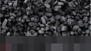 MPR RI Ungkap Cadangan Batu Bara Nasional Diproyeksikan Bertahan Dua Abad