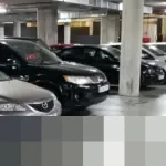 MPV dan LCGC Dipastikan Dominasi Pasar Mobil Bekas Indonesia pada 2026, Harga Kompetitif Jadi Daya Tarik