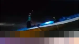 Nelayan Buton Tengah Selamat dari Terkaman Buaya 6 Meter Berkat Tusuk Mata Predator