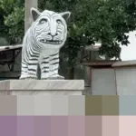 Patung Macan Putih di Kediri Viral, Bentuknya Disebut Mirip Zebra hingga Kuda Nil