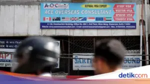 Pembatasan Pekerja Asing di Negara Maju Ancam Ekonomi Global, OECD Soroti Penurunan Migrasi