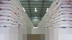 Pemerintah Kembali Godok Skema Satu Harga Beras Nasional, Atasi Disparitas di Wilayah 3T