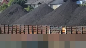 Pemerintah Pastikan Bea Keluar Batu Bara Berlaku Januari 2026, Targetkan Rp 20 Triliun