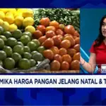 Pemerintah Pastikan Harga Pangan Stabil Jelang Nataru 2025/2026, Beras dan Cabai Dipantau Ketat