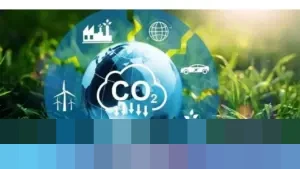 Pemerintah Pastikan Target FOLU Net Sink 2030 Jadi Strategi Utama Tekan Emisi Nasional