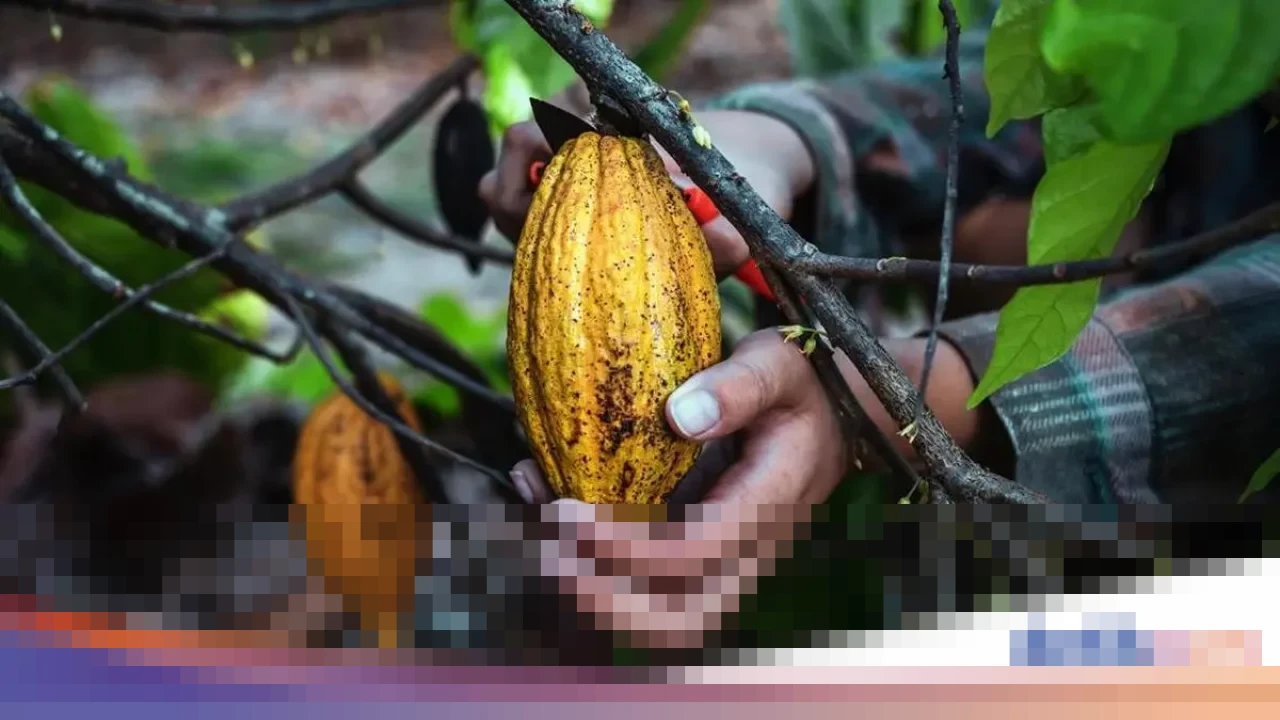 Pemerintah Siapkan Rp 9 Triliun untuk Hilirisasi Komoditas dan Peningkatan Produksi Protein 2026 Pemerintah Siapkan Rp 9 Triliun untuk Hilirisasi Komoditas dan Peningkatan Produksi Protein 2026