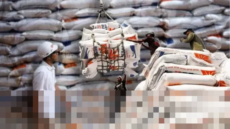 Pemerintah Tingkatkan Cadangan Beras Jadi 4 Juta Ton dan Jagung 1 Juta Ton untuk Jaga Stabilitas Pangan Nasional