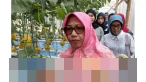 Pemkab Blora Dorong Melon Hidroponik Lokal Jadi Bagian Menu Program Makan Bergizi Gratis