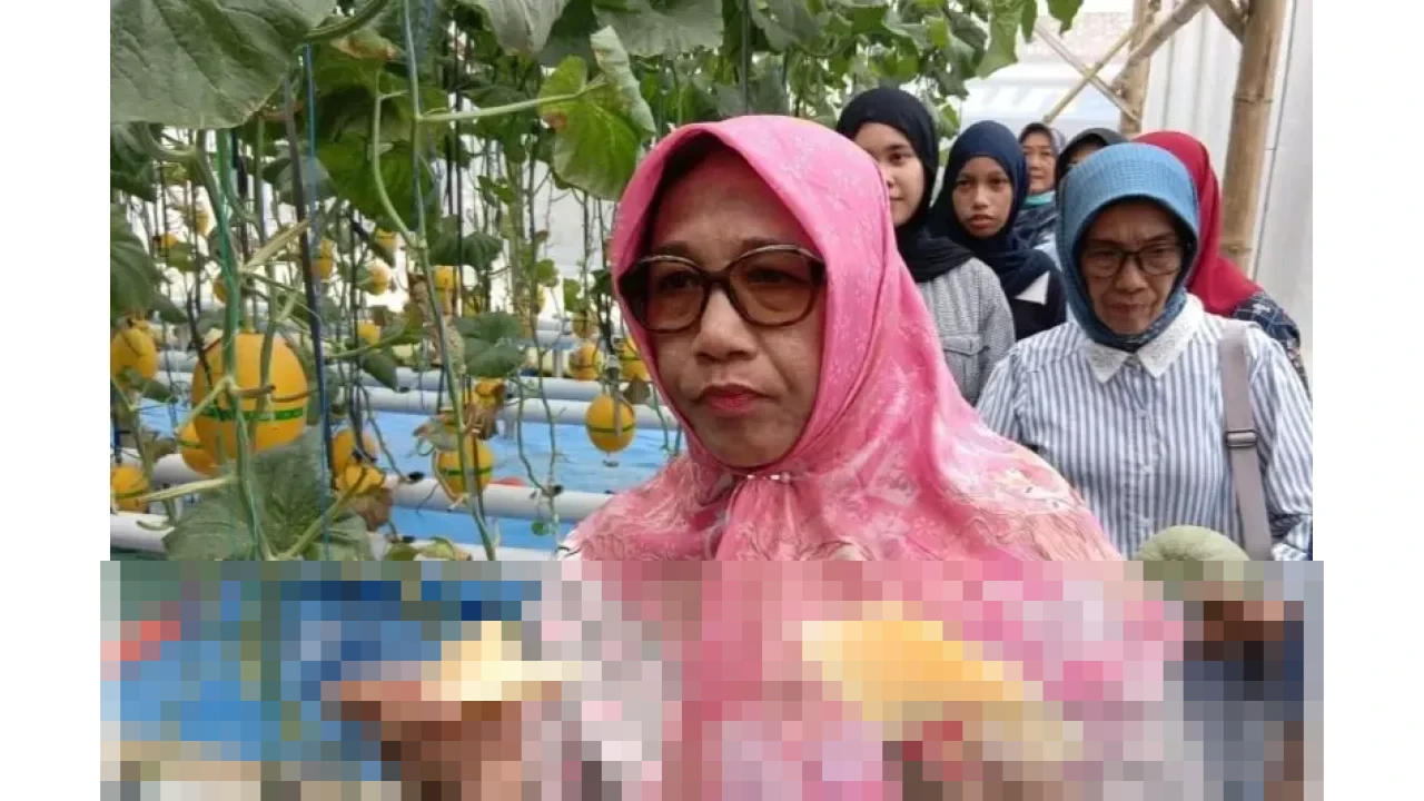 Pemkab Blora Dorong Melon Hidroponik Lokal Jadi Bagian Menu Program Makan Bergizi Gratis