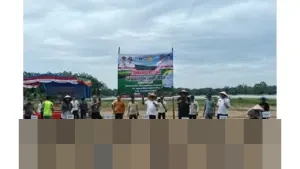 Pemkab Pasaman Barat Catat Luas Tanam Padi 16.689 Hektare hingga November 2025, Optimistis Lampaui Target