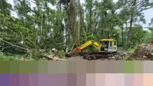 Pemprov Banten dan BBWS C3 Kerahkan Alat Berat Bersihkan Rawa Danau, Antisipasi Banjir