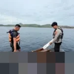 Pencarian Korban Kapal Tenggelam di Labuan Bajo Memasuki Hari Kelima, Tim SAR Temukan Serpihan KM Putri Sakinah