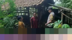 Pencuri Gasak Lima Kambing Warga Parung Bogor, Hanya Sisakan Jeroan di Kandang