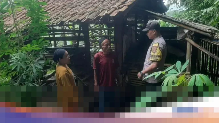 Pencuri Gasak Lima Kambing Warga Parung Bogor, Hanya Sisakan Jeroan di Kandang Pencuri Gasak Lima Kambing Warga Parung Bogor, Hanya Sisakan Jeroan di Kandang