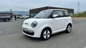 Pengamat Otomotif Prediksi Perang Harga Mobil Listrik Cina di Indonesia Berlanjut hingga 2026