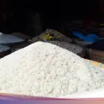 Perum Bulog Gelontorkan 1.200 Ton Beras SPHP ke Papua, Pastikan Harga Terjangkau Jelang Nataru