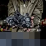 PGN dan Dart Energy Teken PJBG, Optimalkan Gas CBM untuk Ketahanan Energi Nasional