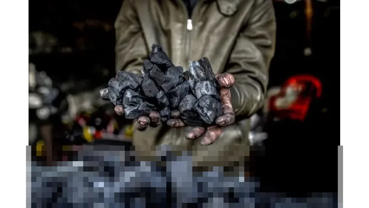 PGN dan Dart Energy Teken PJBG, Optimalkan Gas CBM untuk Ketahanan Energi Nasional PGN dan Dart Energy Teken PJBG, Optimalkan Gas CBM untuk Ketahanan Energi Nasional