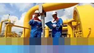 PGN Umumkan Transformasi Tata Kelola dan Perubahan Nama Perseroan Melalui RUPSLB, Peta Jalan 2026-2030 Disetujui