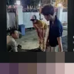 Polisi Tegur Pemilik Anjing yang Gigit Kucing di Bandung: ‘Lu yang Tanggung Jawab’