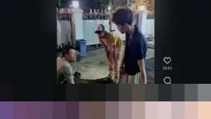 Polisi Tegur Pemilik Anjing yang Gigit Kucing di Bandung: ‘Lu yang Tanggung Jawab’