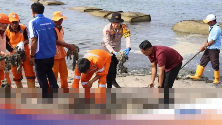 Polres Kepulauan Seribu Pastikan Kesiapan Wisata Jelang Tahun Baru, Ajak Warga Bersihkan Pantai Sakura Polres Kepulauan Seribu Pastikan Kesiapan Wisata Jelang Tahun Baru, Ajak Warga Bersihkan Pantai Sakura