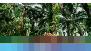 POPSI Peringatkan Kenaikan Pungutan Ekspor dan Mandatori B50 Ancam Petani Sawit Nasional