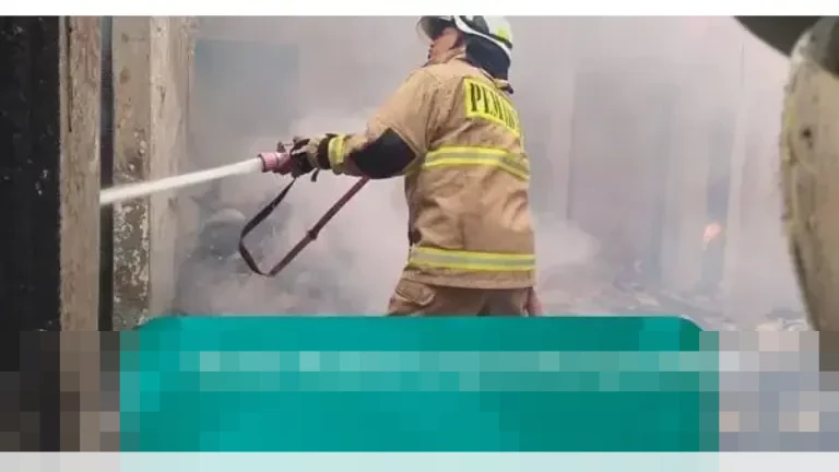 Pramono Anung: Damkar Jakarta Berprestasi Mendunia, Tangani Kucing Kawin hingga ATM Macet