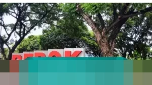 Pria Berambut Gondrong Todongkan Diduga Senpi ke Sekuriti di Depok, Polisi Lakukan Penyelidikan