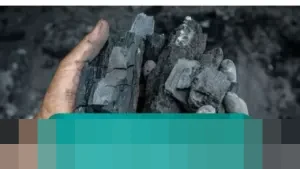 Produksi Arang Kayu di Semarang Melonjak Dua Kali Lipat Jelang Perayaan Tahun Baru 2026