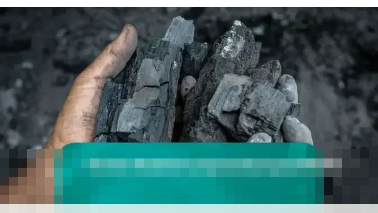 Produksi Arang Kayu di Semarang Melonjak Dua Kali Lipat Jelang Perayaan Tahun Baru 2026