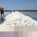 Produksi Garam Nasional Anjlok Jadi 1 Juta Ton, KKP Ungkap Kendala Cuaca dan Kebutuhan Impor