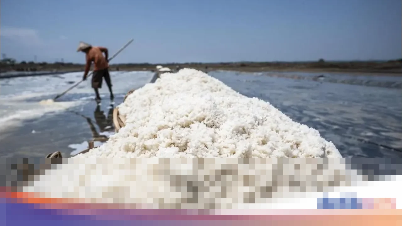 Produksi Garam Nasional Anjlok Jadi 1 Juta Ton, KKP Ungkap Kendala Cuaca dan Kebutuhan Impor