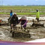 Prof. Lilik UGM: “Kedaulatan Pangan Sasaran Utama,” Apresiasi Percepatan Swasembada Beras Kementan