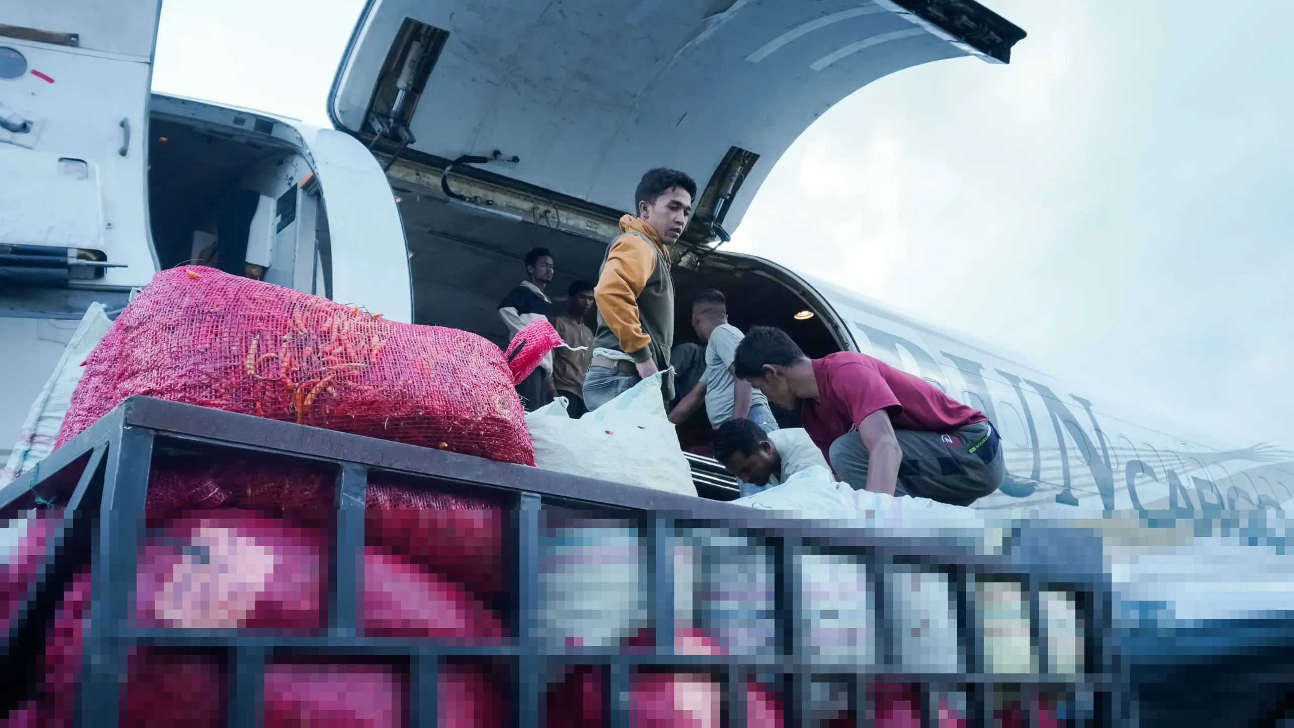 PT Rumah Tani Nusantara dan #BakrieTanggap Perkuat Kolaborasi Pemulihan Ekonomi Pascabencana Aceh