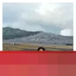 Pulihkan Ekonomi Sumatra Pasca-Bencana: Kolaborasi dan Teknologi Ramah Lingkungan Kunci Utama