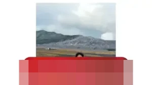 Pulihkan Ekonomi Sumatra Pasca-Bencana: Kolaborasi dan Teknologi Ramah Lingkungan Kunci Utama