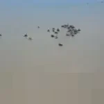 Puluhan Tahun Terbuang Sia-sia, Limbah Timah Indonesia Simpan Logam Tanah Jarang Bernilai Fantastis