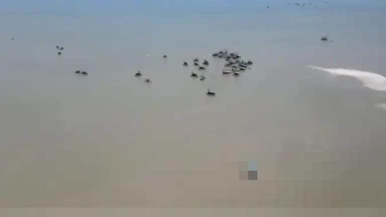 Puluhan Tahun Terbuang Sia-sia, Limbah Timah Indonesia Simpan Logam Tanah Jarang Bernilai Fantastis