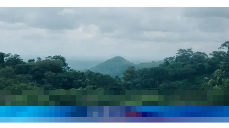 Raja Juli Antoni: Sinergi Pusat-Daerah Kunci Sukses Pendanaan REDD+ Berbasis Kinerja Raja Juli Antoni: Sinergi Pusat-Daerah Kunci Sukses Pendanaan REDD+ Berbasis Kinerja