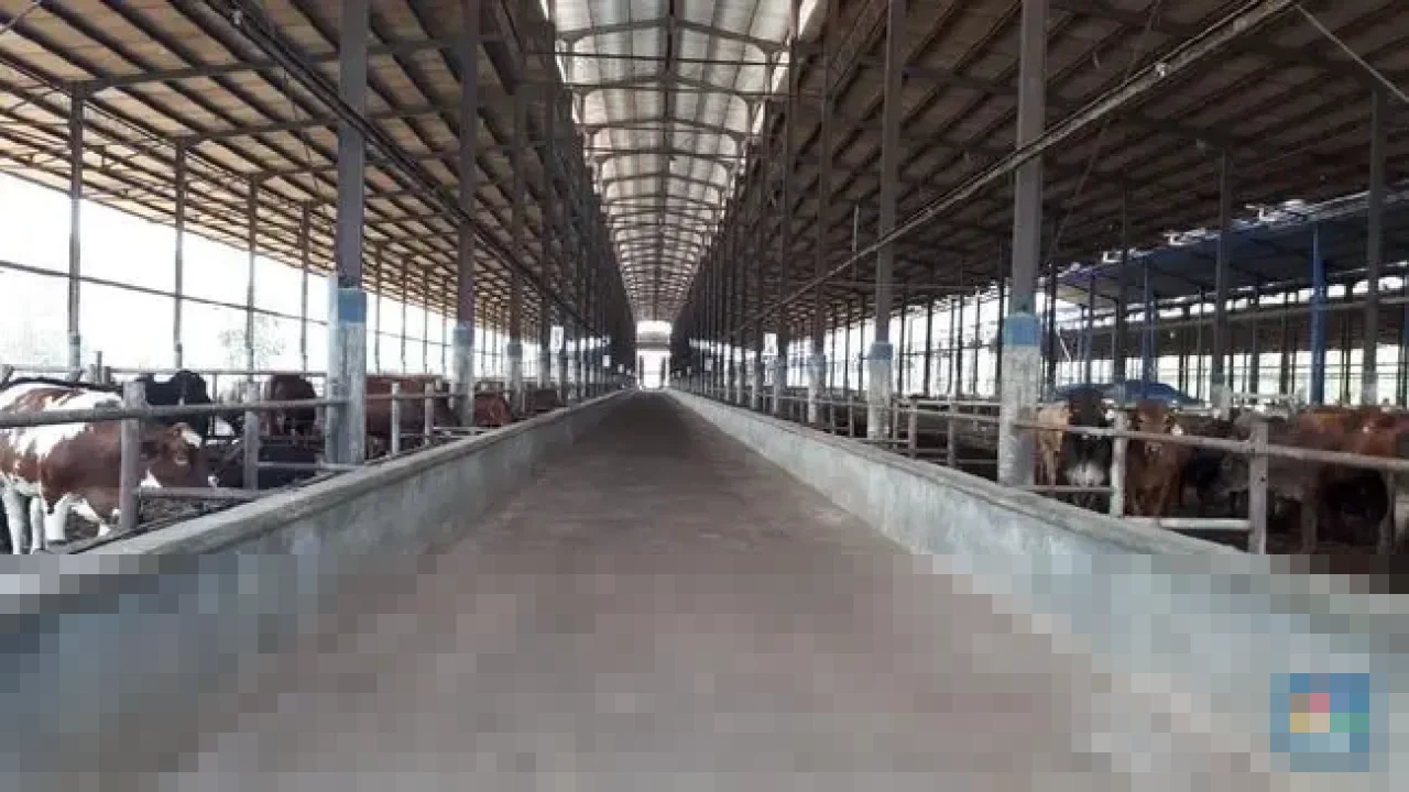 Raksasa Pangan Korea Daesang Holdings Dikabarkan Incar Akuisisi Emiten Protein Indonesia PT Estika Tata Tiara (BEEF) Raksasa Pangan Korea Daesang Holdings Dikabarkan Incar Akuisisi Emiten Protein Indonesia PT Estika Tata Tiara (BEEF)