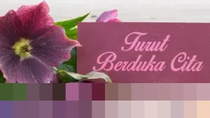 Rohaniawan Romo FX Mudji Sutrisno Meninggal Dunia di Jakarta pada Usia 71 Tahun