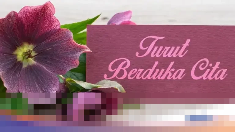 Rohaniawan Romo FX Mudji Sutrisno Meninggal Dunia di Jakarta pada Usia 71 Tahun