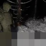 Rusia Rilis Video, Klaim Berhasil Tangkis Serangan Drone Ukraina ke Kediaman Presiden Vladimir Putin