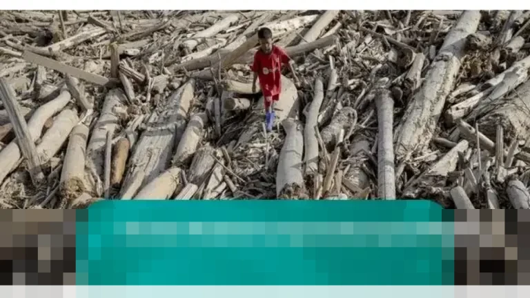 Saan Mustopa: “Kepala Daerah Bingung Status Kayu Gelondongan Pascabanjir Sumatera”